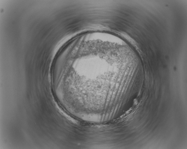 X0000068851335200605261656