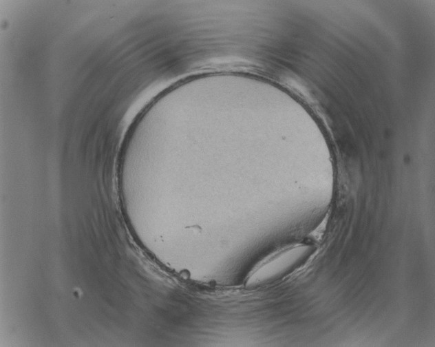 X0000068851336200605261656