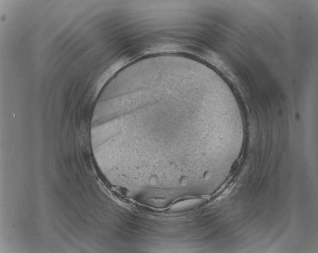 X0000068851337200605261656