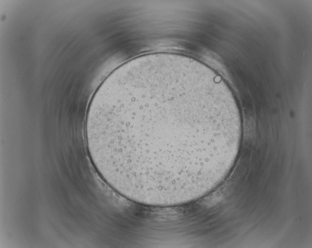 X0000068851338200605261656