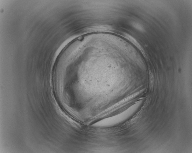 X0000068851339200605261656