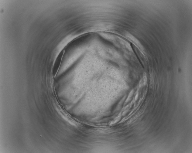 X0000068851340200605261656