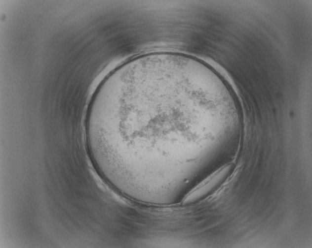 X0000068851341200605261656