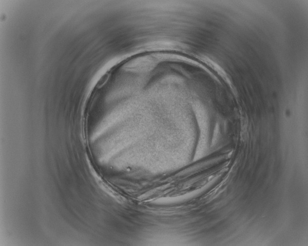 X0000068851342200605261656