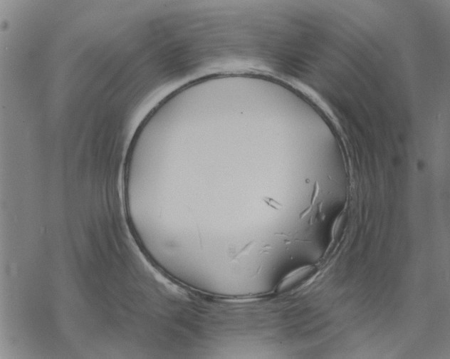 X0000068851343200605261656