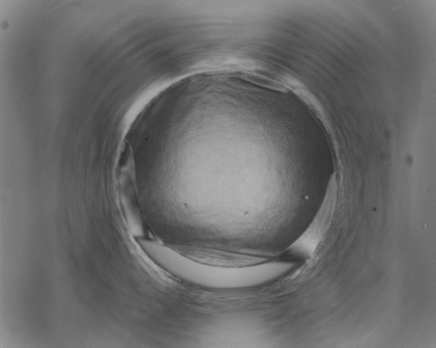 X0000068851344200605261656