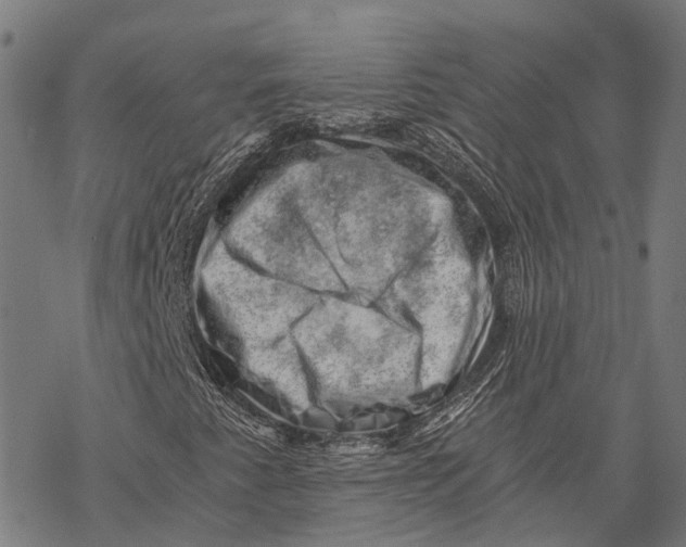 X0000068851345200605261655