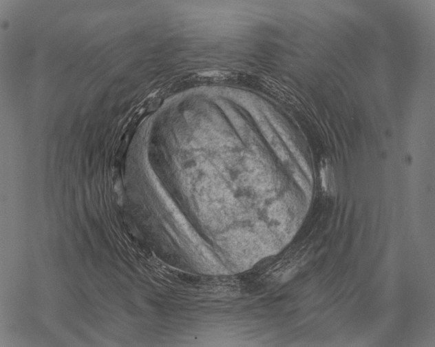 X0000068851347200605261655