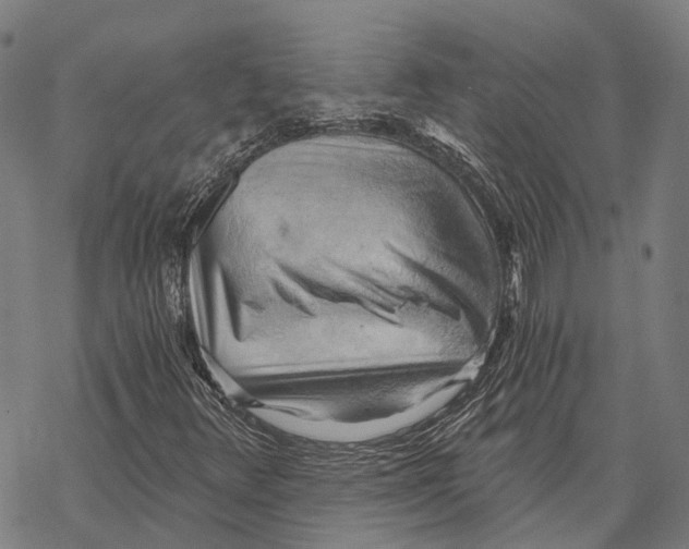 X0000068851348200605261655