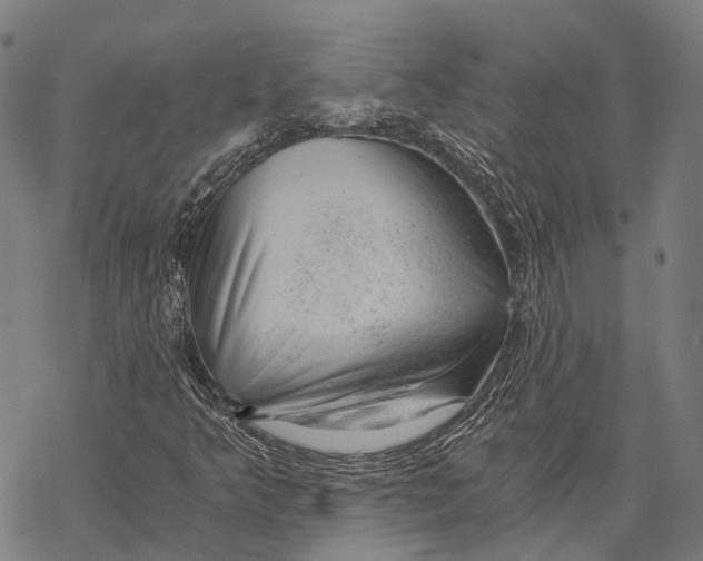 X0000068851349200605261655