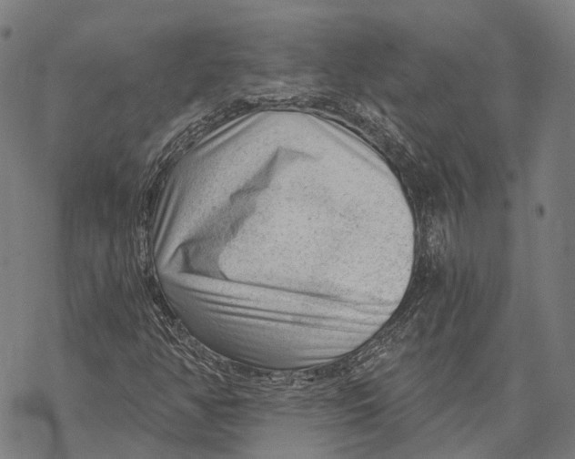 X0000068851350200605261655