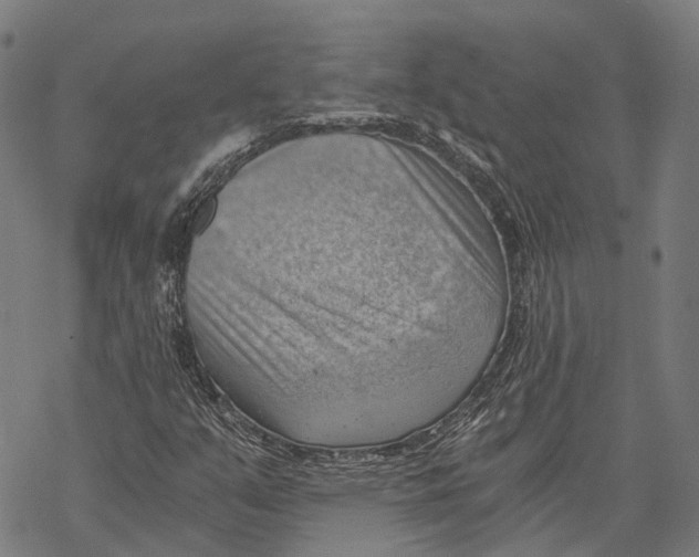 X0000068851351200605261655