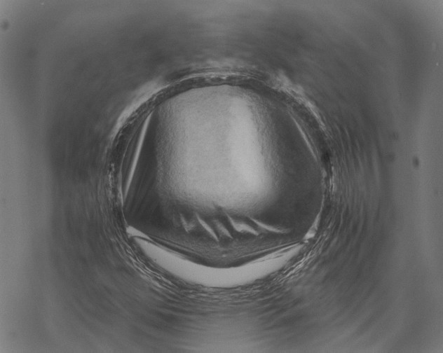 X0000068851352200605261655