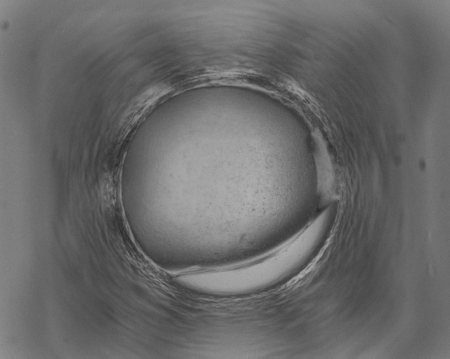 X0000068851353200605261655