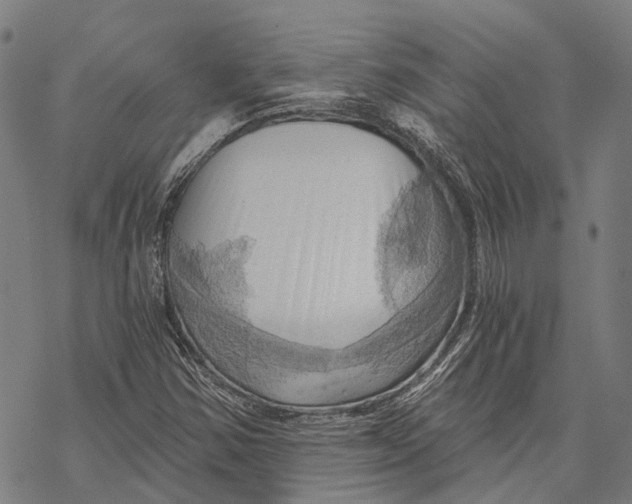 X0000068851354200605261655