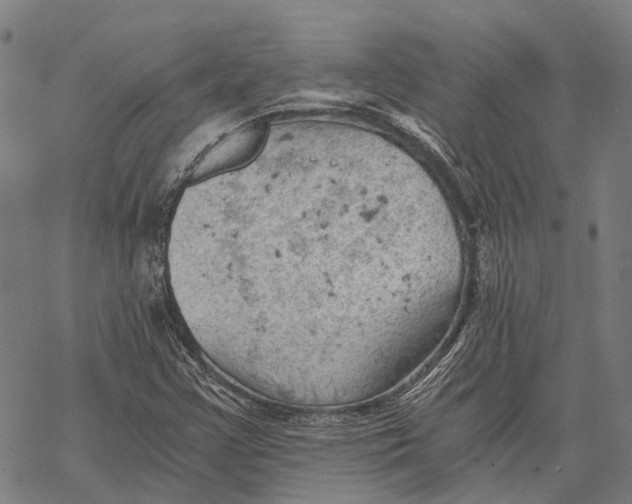 X0000068851355200605261655