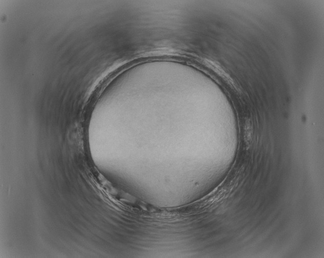 X0000068851356200605261655