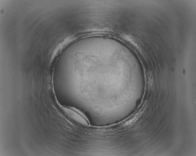 X0000068851357200605261655