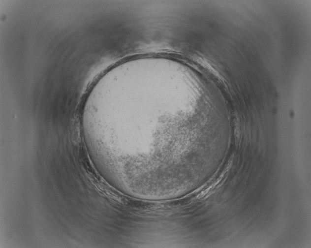 X0000068851358200605261655