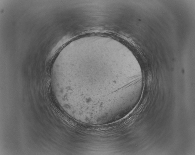 X0000068851359200605261655