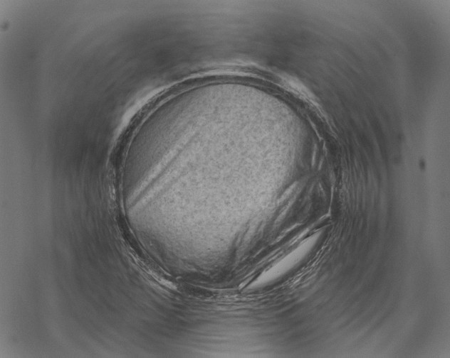 X0000068851360200605261655