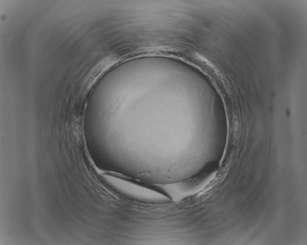 X0000068851361200605261655