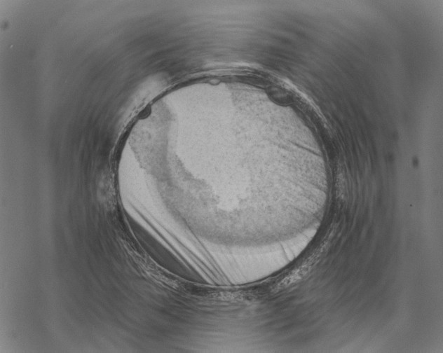 X0000068851362200605261655