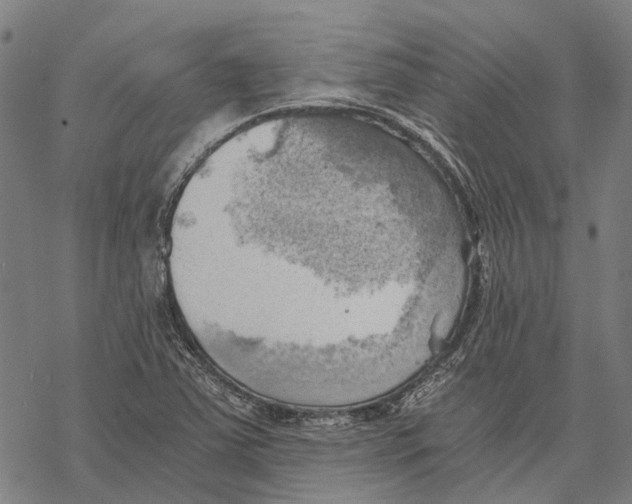 X0000068851363200605261655