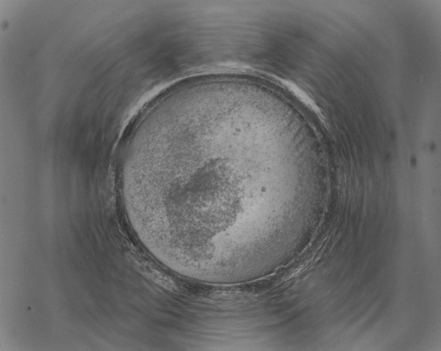 X0000068851364200605261655