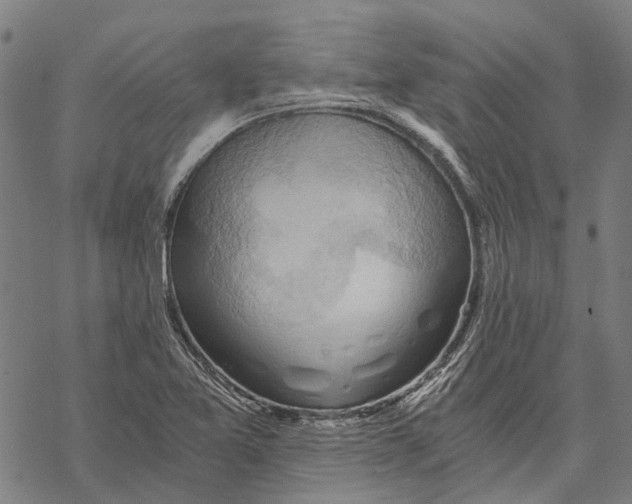 X0000068851365200605261655