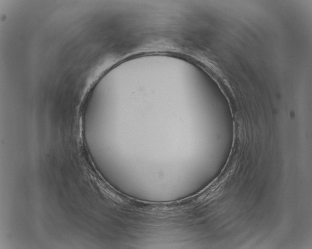 X0000068851366200605261655