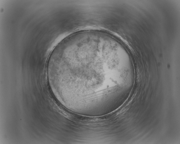 X0000068851367200605261655