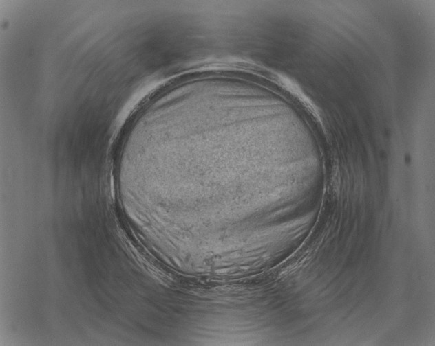 X0000068851368200605261655