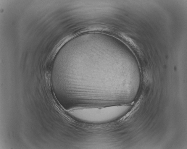 X0000068851369200605261655