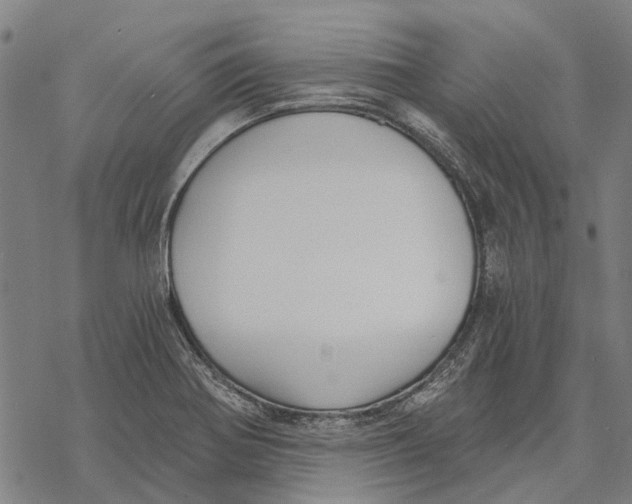 X0000068851370200605261655