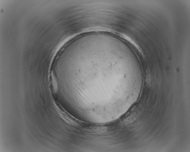 X0000068851372200605261655