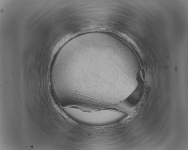 X0000068851373200605261655