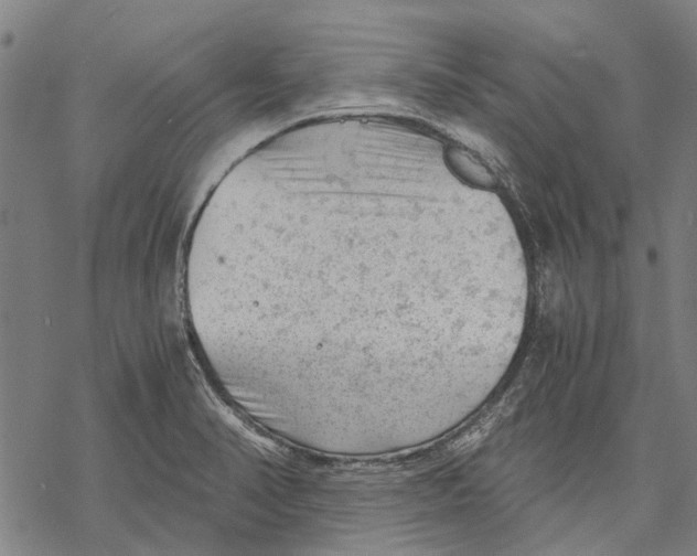 X0000068851374200605261655