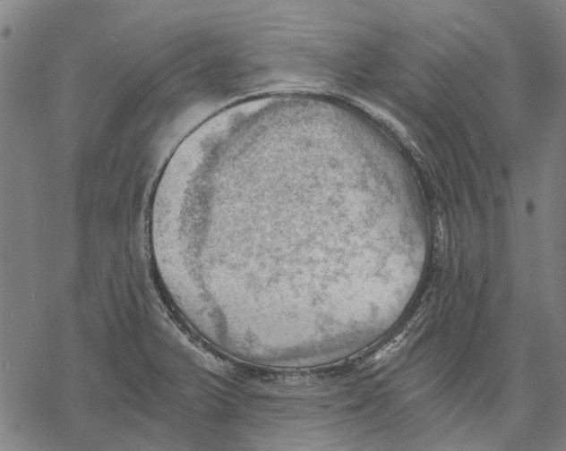 X0000068851375200605261655