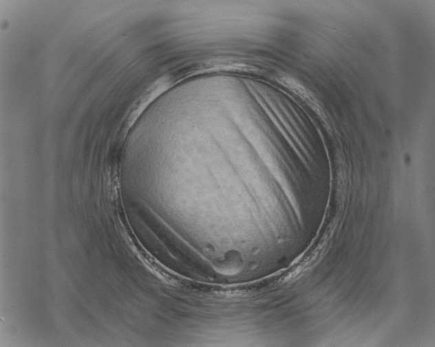 X0000068851377200605261655