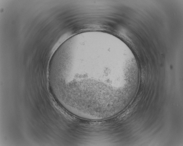 X0000068851378200605261655