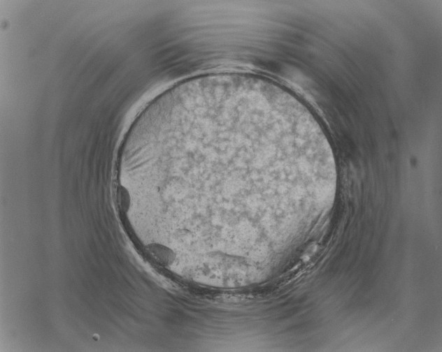 X0000068851379200605261655