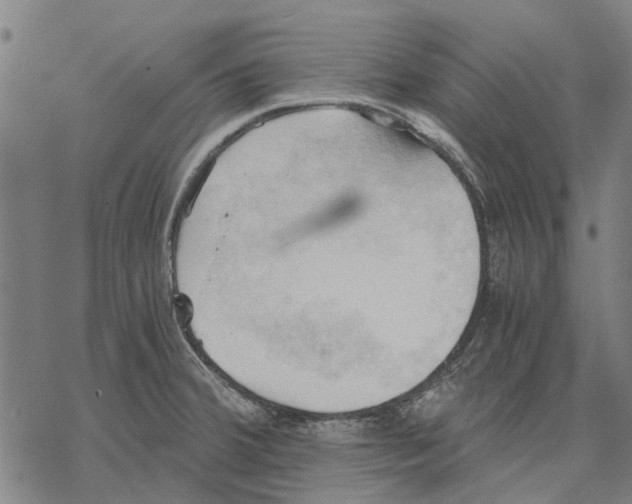 X0000068851380200605261655