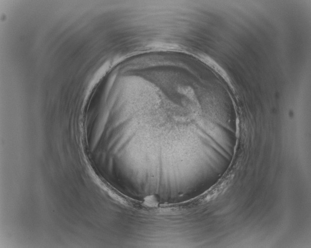 X0000068851381200605261655