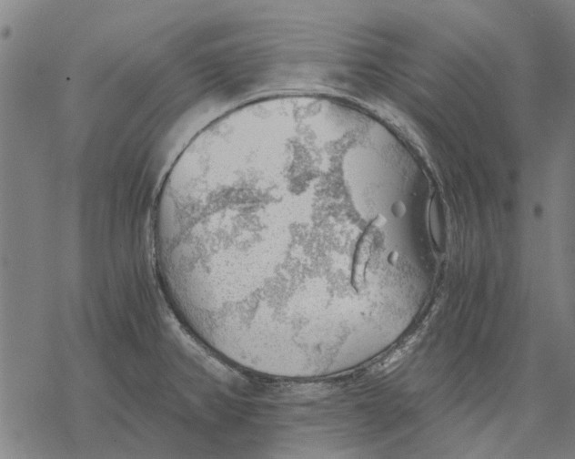 X0000068851382200605261655