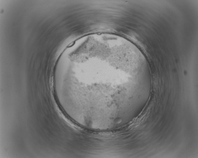 X0000068851383200605261654