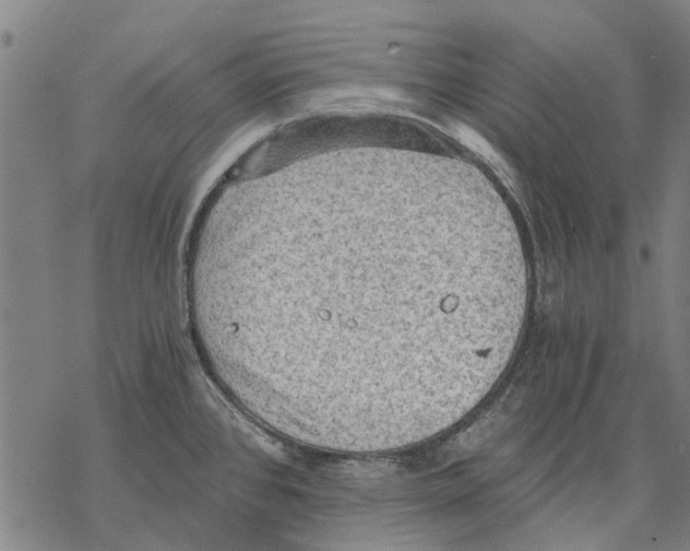 X0000068851384200605261654