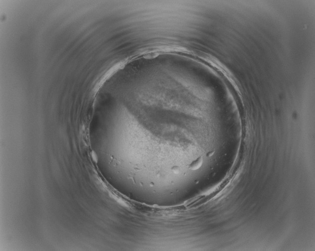 X0000068851385200605261654