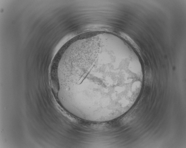 X0000068851386200605261654