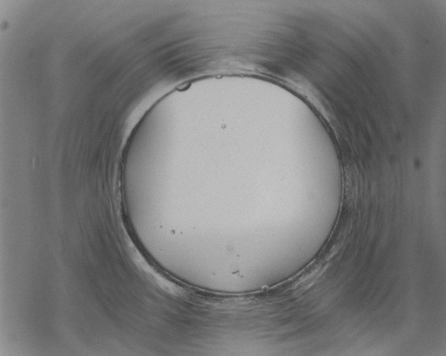 X0000068851387200605261654